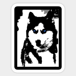 Siberian Husky Sticker